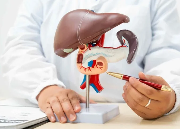 Karaciğer Fonksiyon Test Paneli