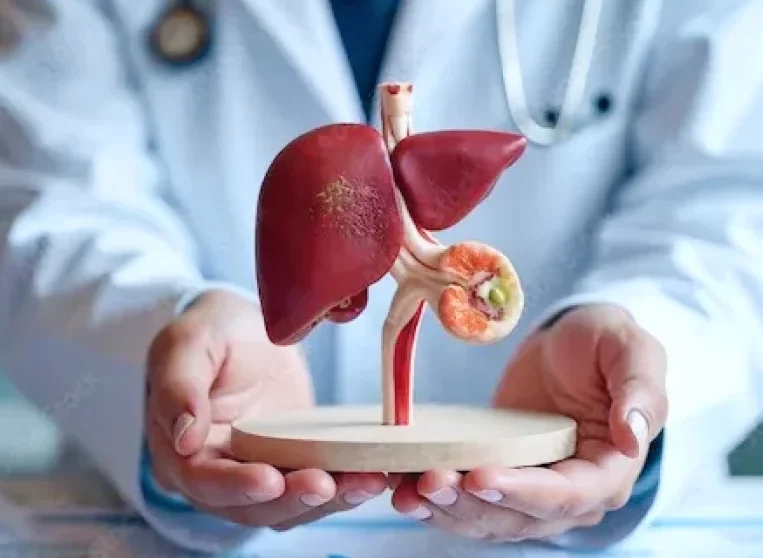 Karaciğer Fonksiyon Test Paneli