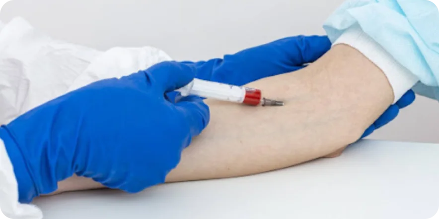 Karaciğer Fonksiyon Test Paneli