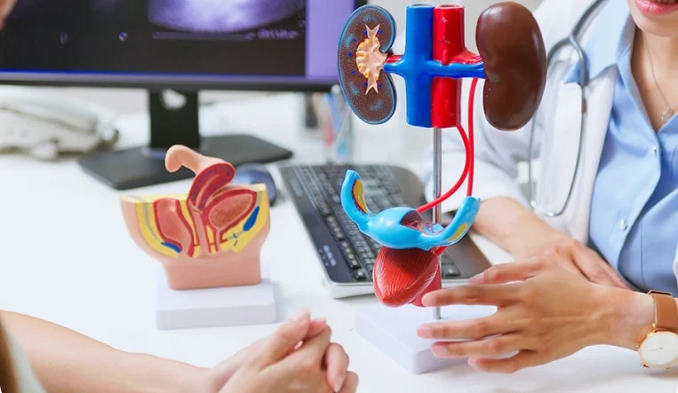 Kadın Check-Up Paneli