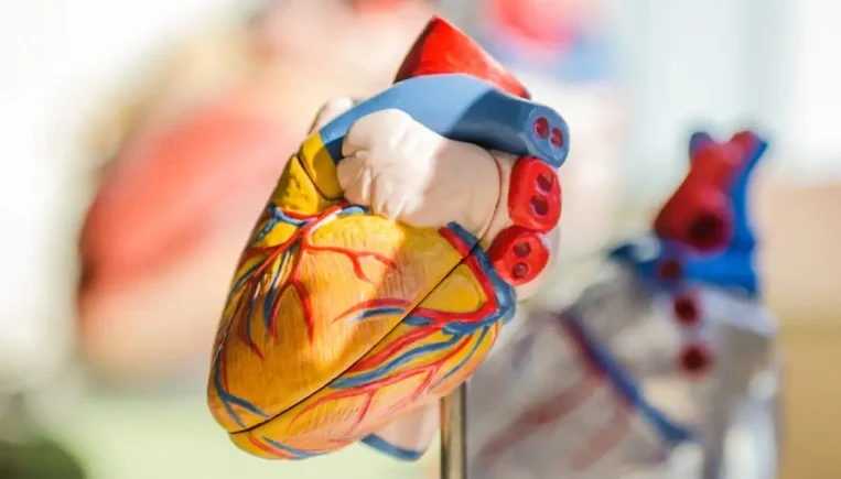 Kadın Check-Up Paneli