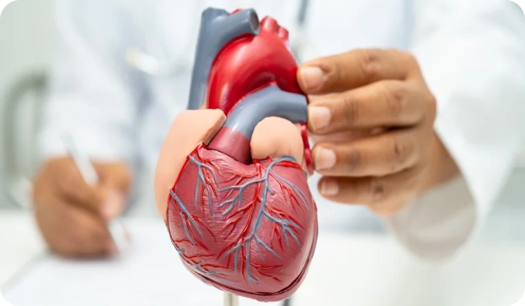 Erkek Check-Up Paneli