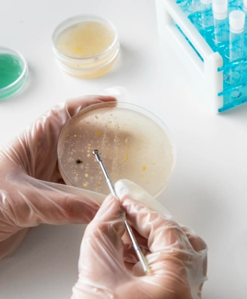 Mikrobiyoloji Testleri