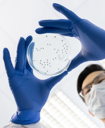 Mikrobiyoloji Testleri