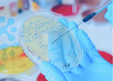 Tıbbi Laboratuvar Hizmetleri