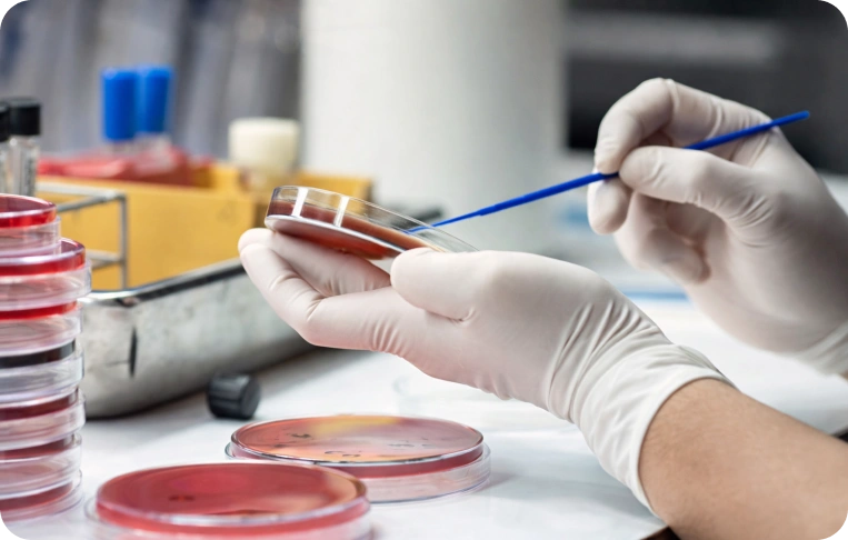 Mikrobiyoloji Testleri