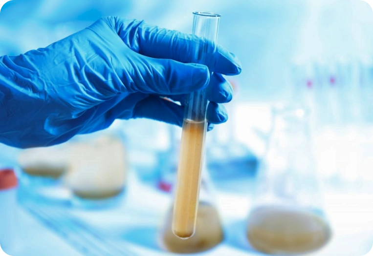 Gıda ve Su Analizleri