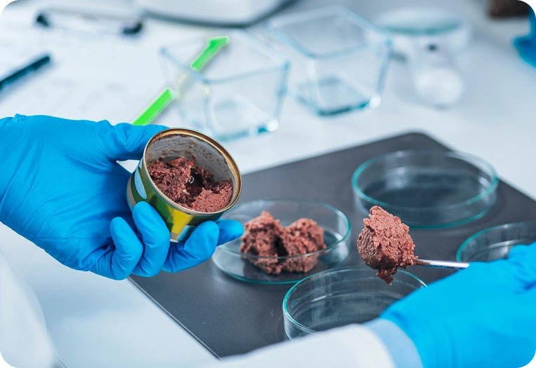 Gıda ve Su Analizleri