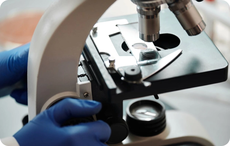 İmmünoloji Testleri