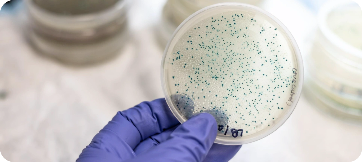 Mikrobiyoloji Testleri