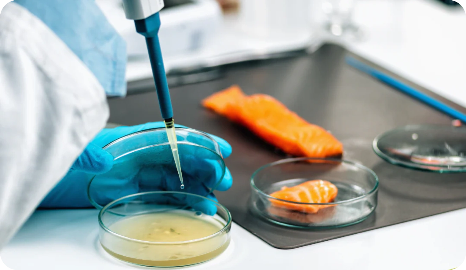 Gıda ve Su Analizleri