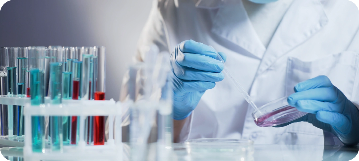 Toksikoloji Testleri