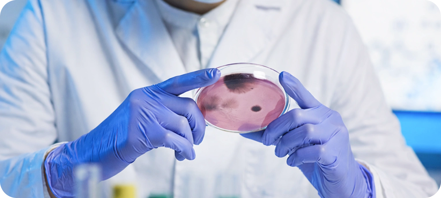 Mikrobiyoloji Testleri