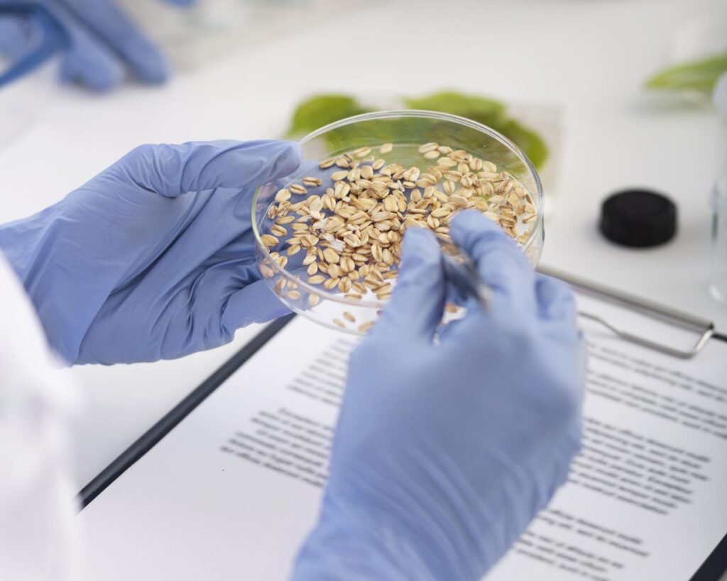 gıda intolerans testi